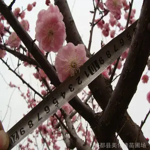 �ӱ��������ػ������� ��Ӧ��ǿ����ޱ�� �����պ졢��������