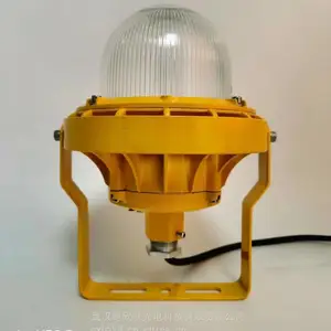 LED����Ӧ����BAJ-50W Ӧ��6Сʱ˫ͷ������ �����װ�װ֧��