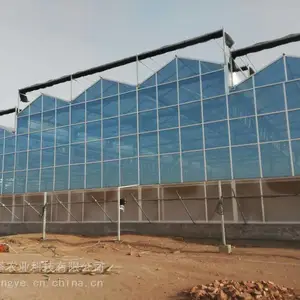 �������ҽ������� �������Ҵ������ ��������