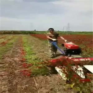 С��ˮ���ո�����һ�ߵ������ո�������ո��