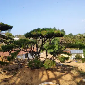 1������1.5�ס�1.8�ס�2�����;��ɡ�3��-4�����;���