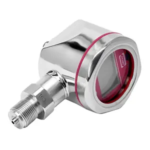 LEEG立格DMP305X-TLF扩散硅表压力变送器