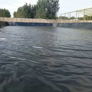 2.0mm��HDPE����Ĥ GH-2S��˫�������ϩ��ˮ����