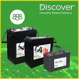 Discover ���ô� EVGT6A-A ����6V260AH �綯�泵����ϵͳ