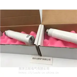 供应美国FORNEY 福尼 IDD-II火焰检测探头