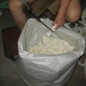 ��ˮ���͸�����ά�� ��ˮ������ɫ��ά��ϸ��������ë��