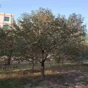 10����Ѥ������ �۸��ѯ 4���ִ�˿���� �۸�����