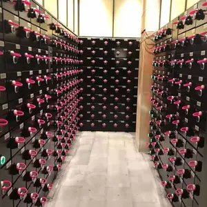 集中刷卡控制更衣柜储物柜联网锁自助取牌产品欢迎来厂考察