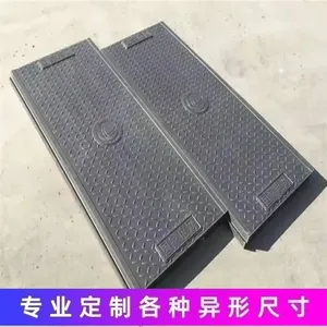 ���츴�ϵ��¹��ǰ� ��֬�߷��Ӹ��ºϳ� Դͷ���� ֧�ֶ��Ƽӹ�