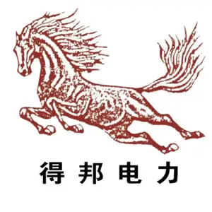 山东得邦电力设备有限公司