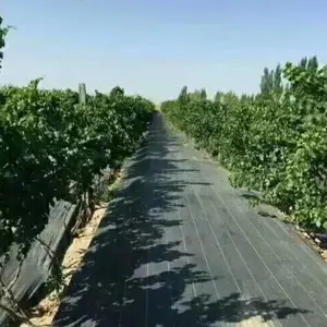 厂家直销优质防草布