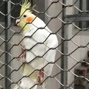 ������������� ����԰������ ��˿���� �����ͱ�֯�� װ�θ�˿����
