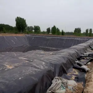 五千头猪要用多大的黑膜沼气池