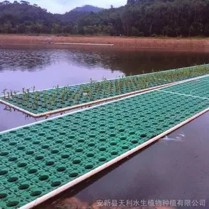 方形人工浮岛 水生态修复水景绿化 植物浮床 负责施工安装
