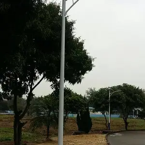 三江县8米灯杆,三江县道路灯杆定制,路灯杆厂