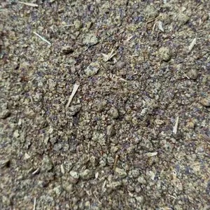 油脂厂生产菜籽粕