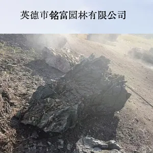 天然皱瘦大英石 出口韩国鱼池流水假山石 英 德大英石源头直供