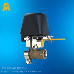 机械手,燃气电动阀门,济南鼎诺科技有限公司