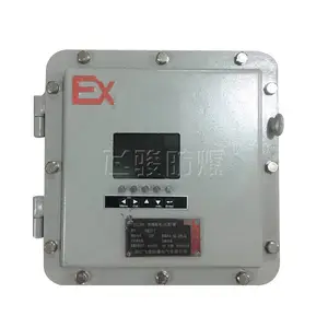 ���ƷǱ�����Ǳ��� BXK-Tϵ�зǱ��� ����ַ����Ǳ���