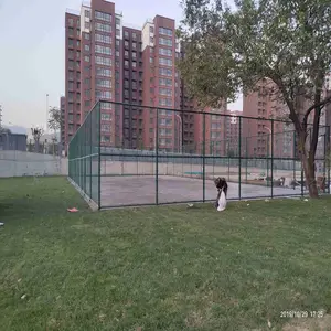 ѧУ������Χ�� �������������۸� У���˶��������� С���˶��������������ұ���