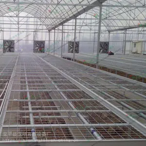 长期供应优质花架网 电焊网活动苗床 汉明育苗设备厂