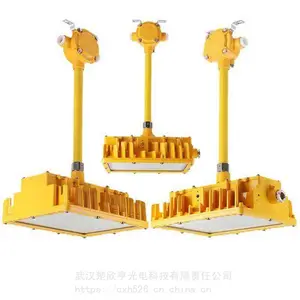 天车作业投光灯ZY-2079-400W 户外LED投光灯 IP66 200W AC220v