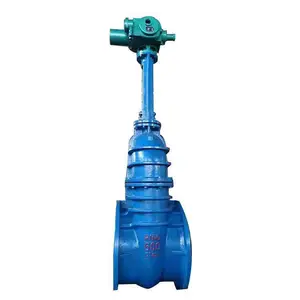 Z941T-10Q DN80ˮ����բ���綯բ����ھ�բ����ī�������ʷ���