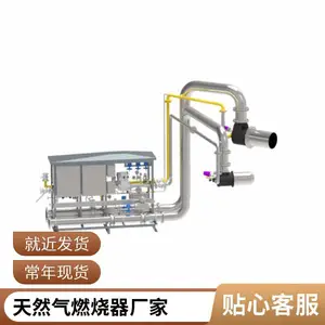 RCO催化 发货迅速 匠心打造 岱鼎烧嘴燃烧器 空气加热燃烧器