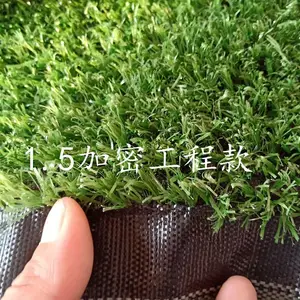 ��Ӧ������ʦ���̲�ƺ�ٲ�Ƥ