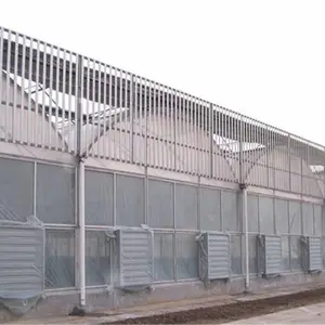 �����߲˻�����ֲ����