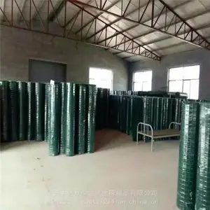 ��̩Ȧ����˿�� ������ ������ֳ��