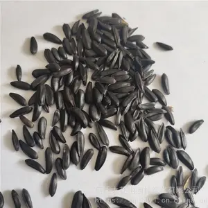 �����²��߲����� �������տ����� ��ѿ*** �۸���� ***