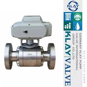 ���ڵ綯������ ָ����� ����ֲ���-����KLAYƷ��