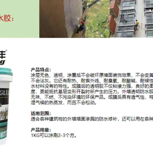 六盘水本地顶层防水补漏堵漏防火材料 欢迎来电 时代防水材料供应