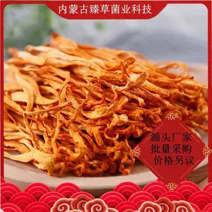 供应新鲜大孢子头虫草花虫草蛹虫草东北产地批发