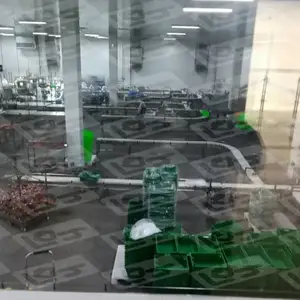 冠猴肥牛分割输送线