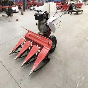 �߸������� �������ո�� ������30������ɹ��