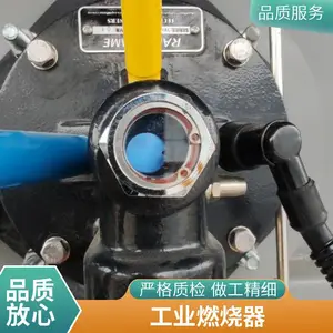 冶炼炉天然气燃烧器 熔铝炉燃烧器 化铁炉纯氧燃烧系统 岱鼎