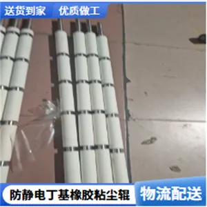 �Ϻ�����ճ�������뵼�巢չ��״δ������