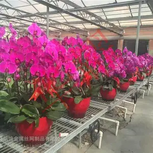 �����紲�������ƶ��紲���ִ�ũҵ�е�Ӧ��