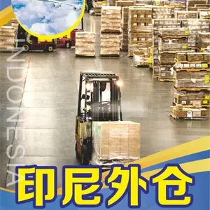 小家电制品从深圳发到印尼双清到门