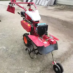 ��ʽ����С��ũ�������ڹ�����¢��ֽ���԰����������΢����