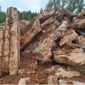 千层石大小景观石 巩固泥土 绿地草坪点缀石 园林造景石批发