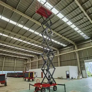 ���ֳ���ʽ����ƽ̨ 6��*500KG ���������� �綯������