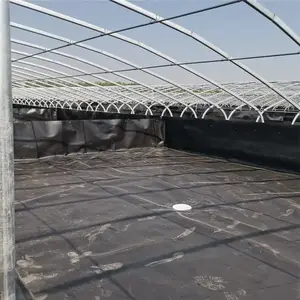 �����첼������ֳ������ƹ�˾ ���ܹܲɹ�Ч���� ³��