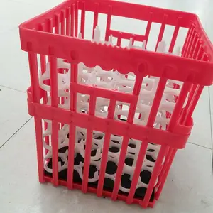 ���������ֵ��� �ܽ����� ���ϼ�����