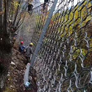 ���α��·�������Ǯ-���α��·���������-���α��·���������Ǯ
