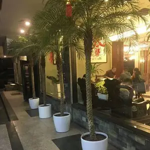 无锡办公室鲜花绿植租摆,免费定期养护