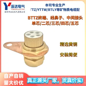 矿物质电缆附件/BTTZ终端头5*10