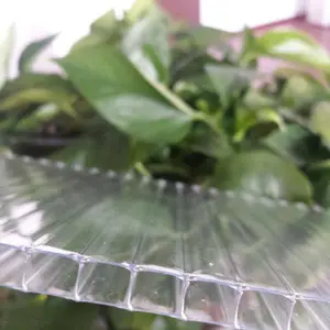 ���߲˴���Ҫ����Ǯ����������Ҵ�������Ƕ��٣�